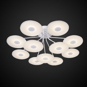 LA080/CE_11 by Altavola Design