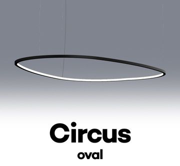 CIRCUS OVAL S1900 by Andcosta - view 7