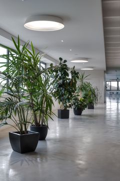 collection NOVA hanging and plafond lamps by Andcosta
