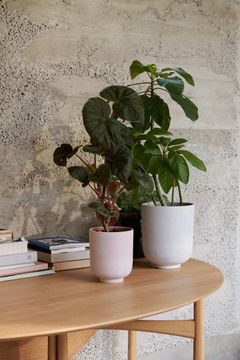 Collect Planters SC69 by &tradition - view 5