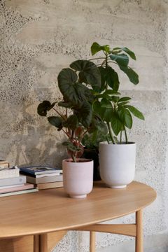 Collect Planters SC70 by &tradition