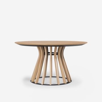 CLUDO Plus T164+ by Anesis
