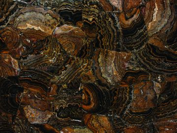 Stromatolite Random by Antolini