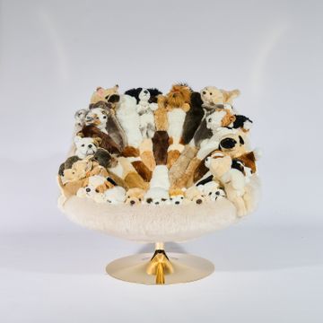 DOGGY CHAIR by APcollection srl