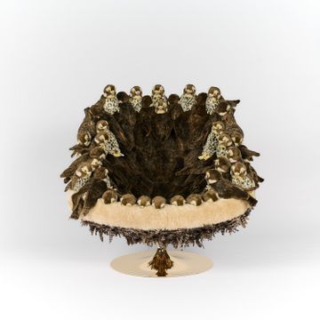 Falcon Chair by APcollection srl