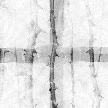 Architects Paper Fototapete Atelier 47 DD117863-0 by Architects Paper