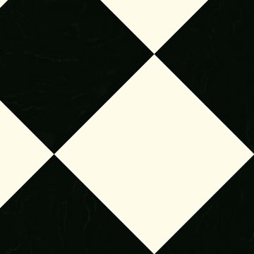 CushionStep | B3130Philmont Vinyl Sheet - Black/White by Armstrong Flooring