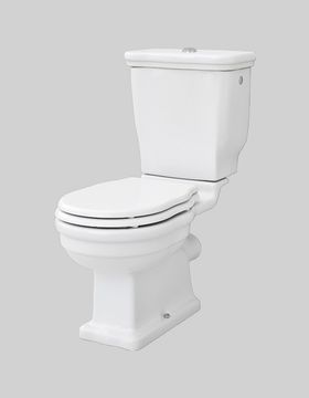 Hermitage Hev008 Sanitary Floor Close Coupled S P Trap by Artceram
