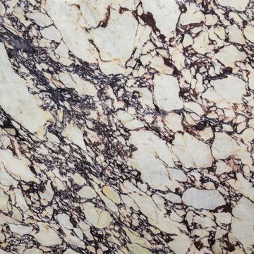 Calacatta Viola Marble Slab Stone by Artistictile - view 2