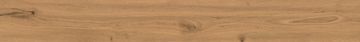 Log Amber Oak Matte Sensitech by Atlas Concorde