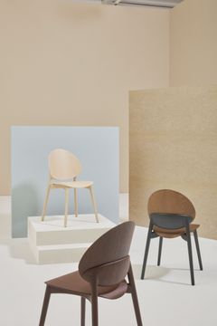 FLEURON 200 - Ash chair by Billiani - view 7