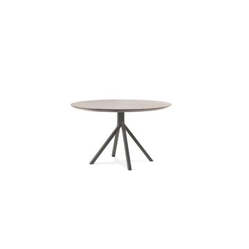 GRAPEVINE 801 - Table with steel frame by Billiani