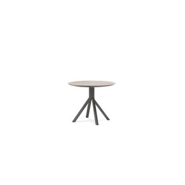 GRAPEVINE 803 - Table with steel frame by Billiani