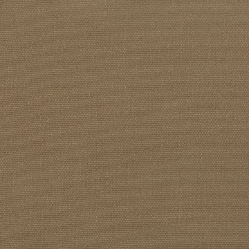 Belsito Walnut by Black Edition