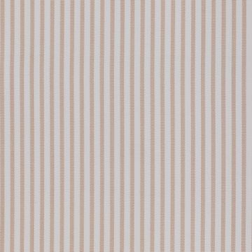 Dusty Pink Stripe by Brown Jordan