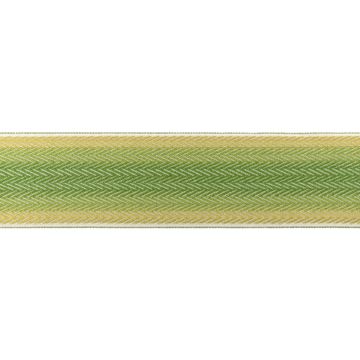 Barfleur Tape - Leaf by Brunschwig & Fils