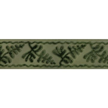 Cassis Tape - Peridot by Brunschwig & Fils