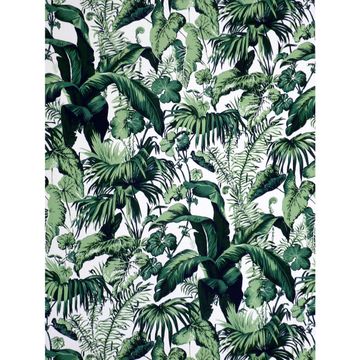 Feuillage Ii - Blanc by Brunschwig & Fils