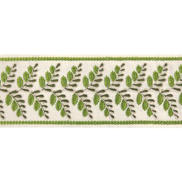 Fougere Border - Leaf by Brunschwig & Fils