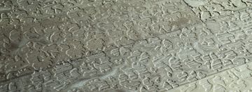 Golden Crystals Walnut Daisies – JARDINS COLLECTION by Cadorin Group