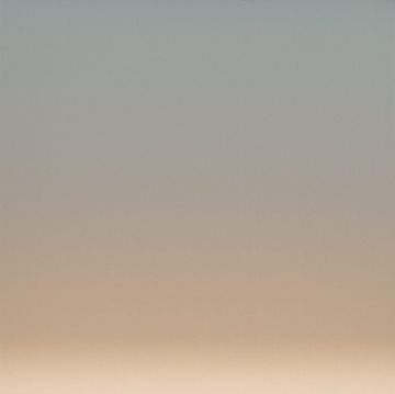 Anew by Calico Wallpaper