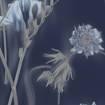 Bluebell by Calico Wallpaper