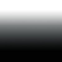 Eclipse by Calico Wallpaper