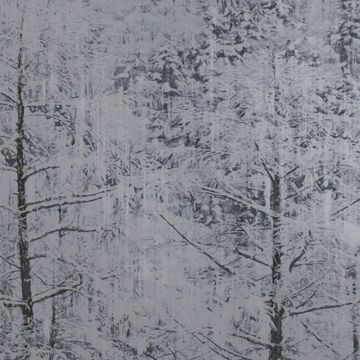 Nival by Calico Wallpaper