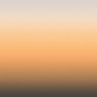 Silhouette by Calico Wallpaper