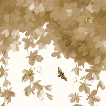 Alfred by Calico Wallpaper - view 3