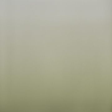 Moss by Calico Wallpaper - view 3