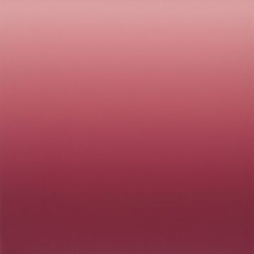 Flush by Calico Wallpaper - view 3