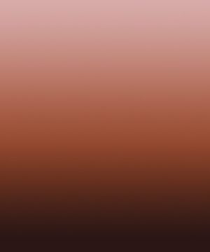 Oblio by Calico Wallpaper - view 3