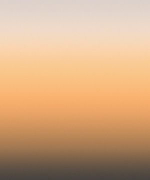 Silhouette by Calico Wallpaper - view 3