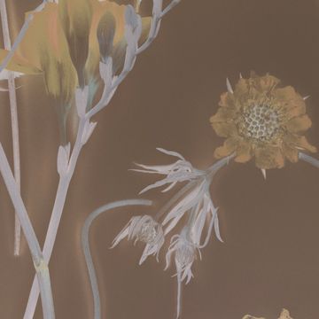Sepia by Calico Wallpaper - view 3