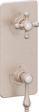 StyleTherm Vista™ Trim Only with 1-Outlet Control, Installs Vertical or Horizontal by California Faucets