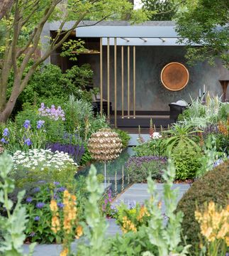 Kasvaa by Cameron Design House - view 6