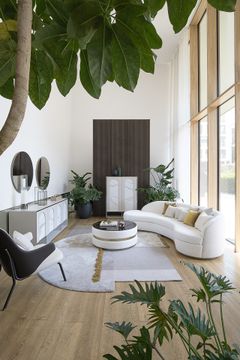 Cookie by Capital Collection - view 8