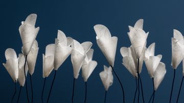 For You by Catellani & Smith