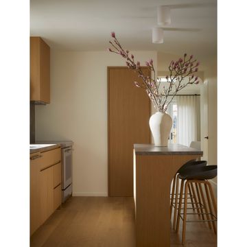 Glass Cape by Cedar & Moss - view 2
