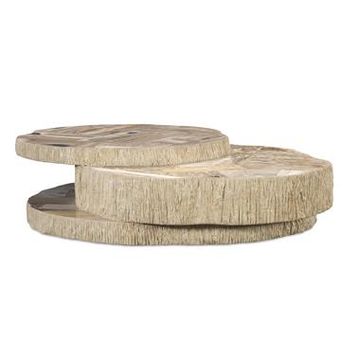 Val Verde Petrified Wood Stacked Cocktail Table - Light by Century Furniture