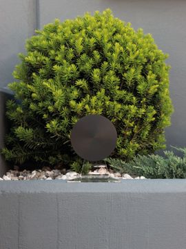 Lucy --- Led Lamp by Chiaro di Luna - view 2