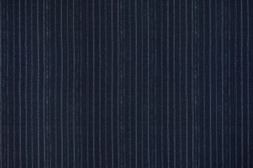 Bengal Pin Stripe Indigo by Cisco Brothers