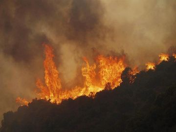 Diminuiscono gli incendi boschivi in Colombia - Civita by Civita Cromo srl