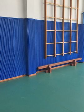 Rivestimenti pareti impianti sportivi, palestre | Codex srl by Codex