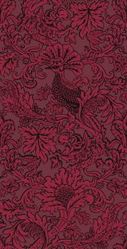 Balabina by Cole & Son - view 7