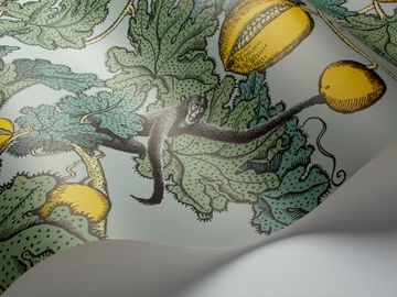 Frutto Proibito by Cole & Son - view 4