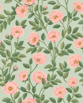 Hampton Roses by Cole & Son - view 4