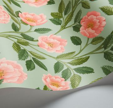 Hampton Roses by Cole & Son - view 5