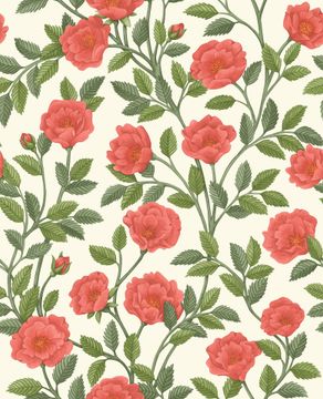 Hampton Roses by Cole & Son